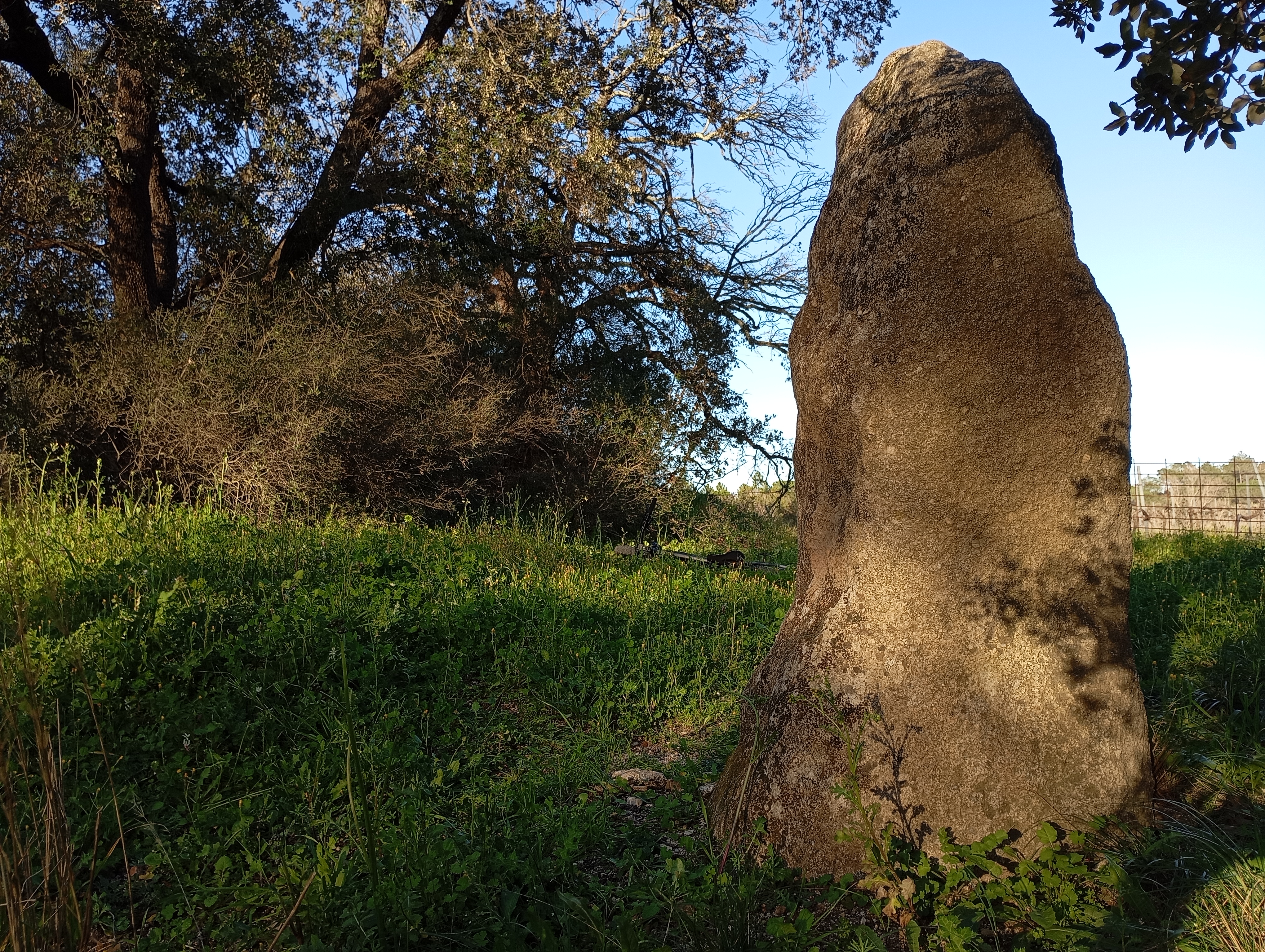 Menhir du Pra-Bourdin 2