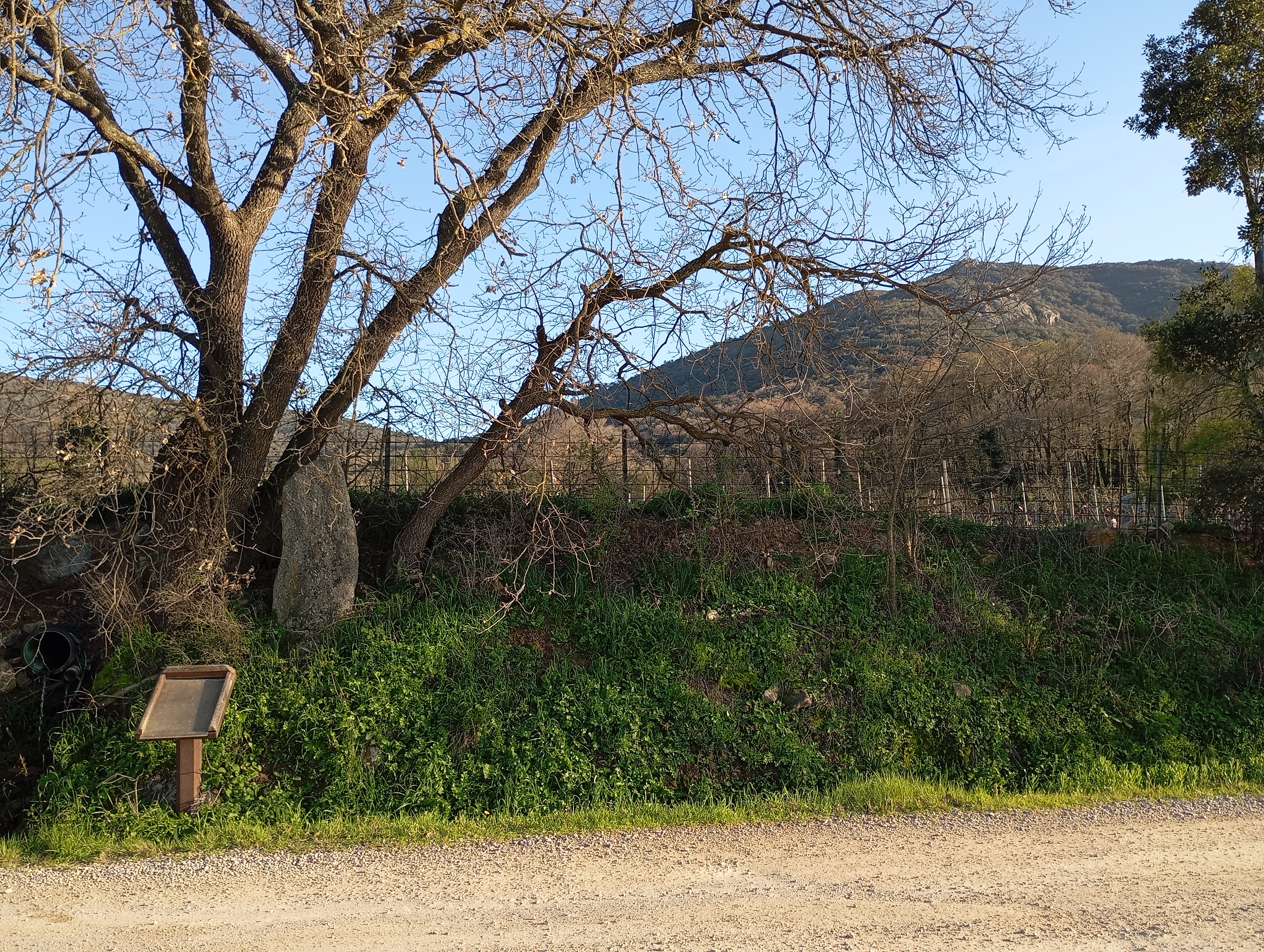 Menhir du Pra-Bourdin 1