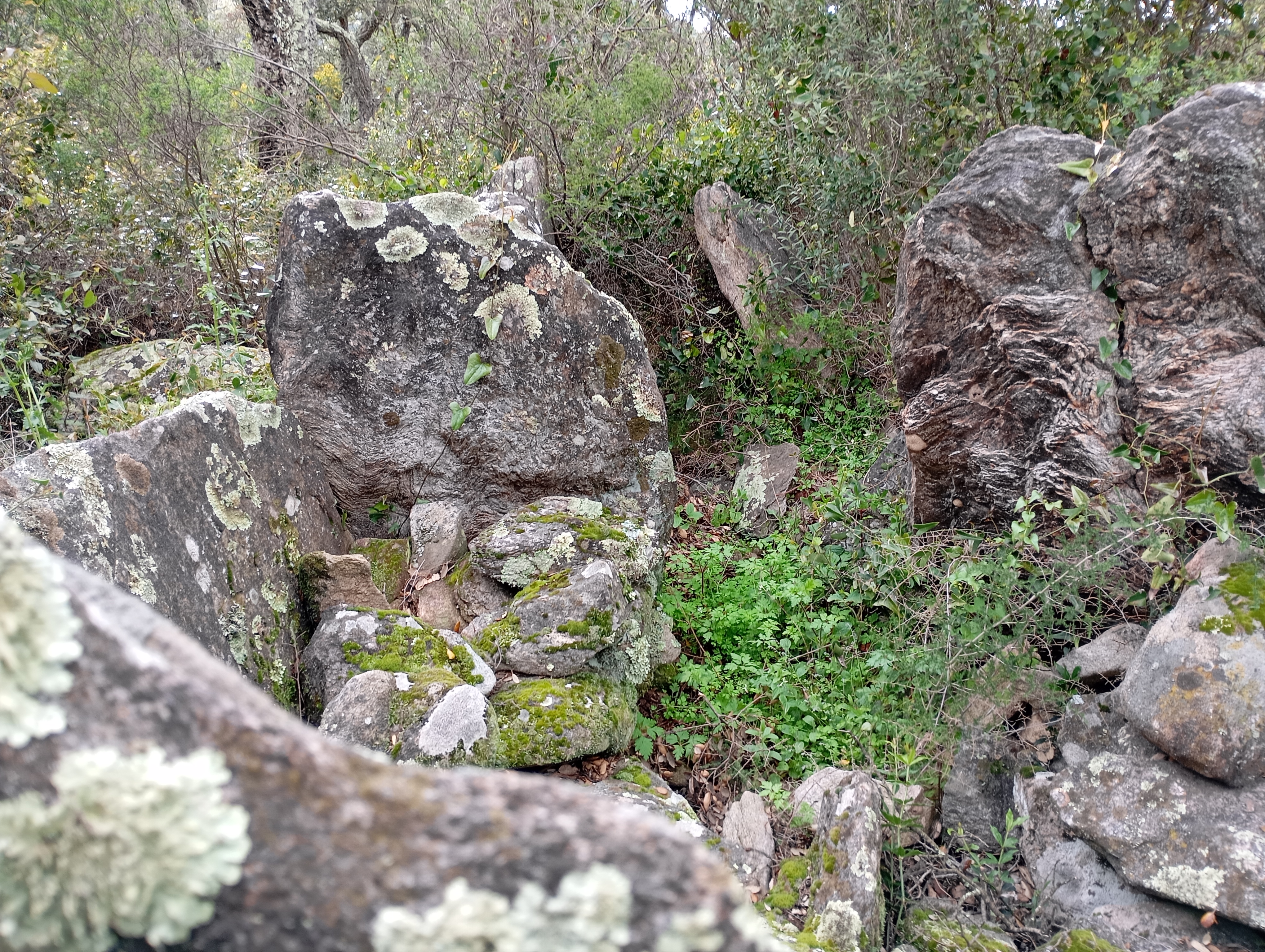 Dolmen de Saint-Sébastien 1