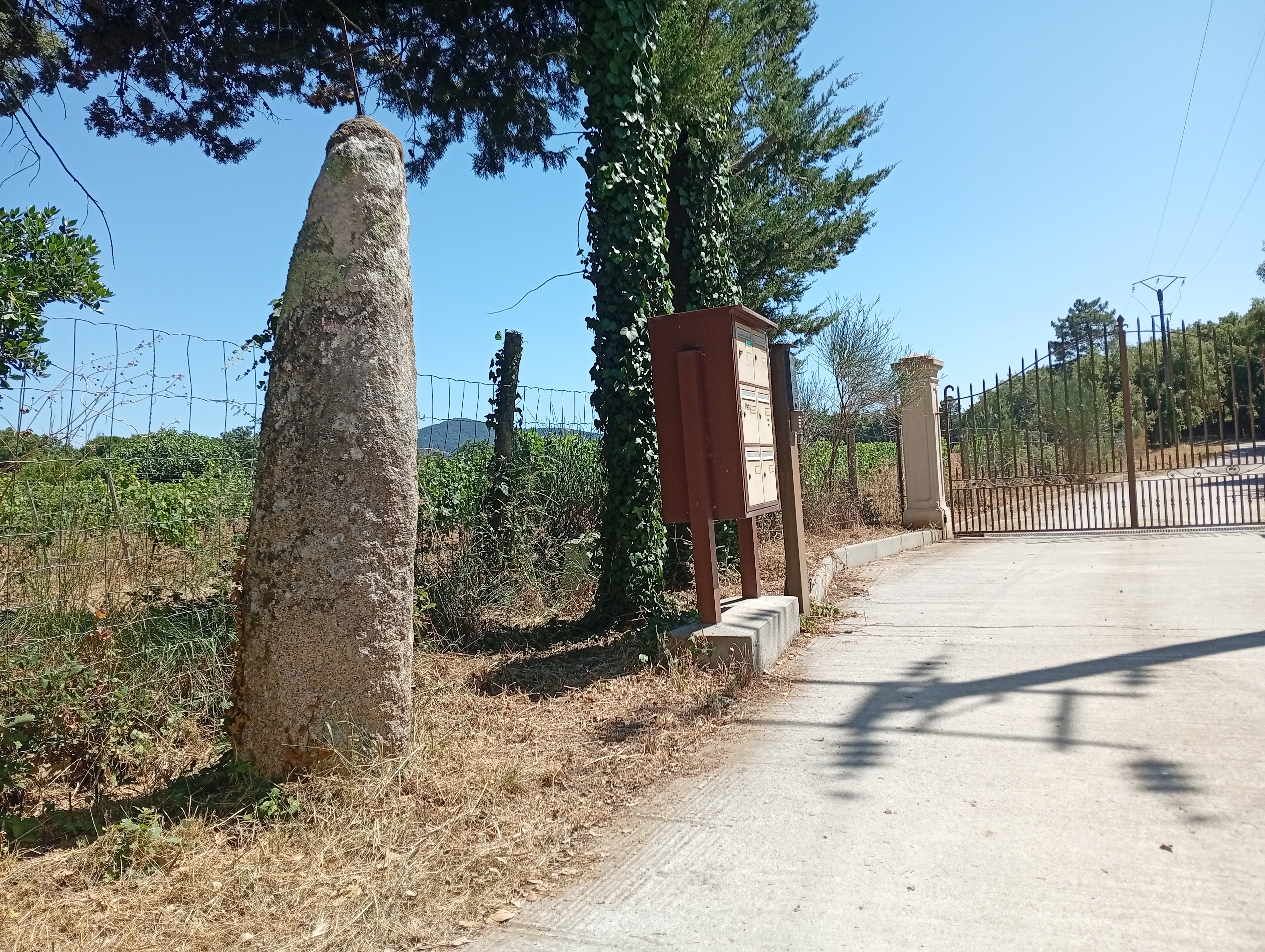 Le Menhir des Pétignons