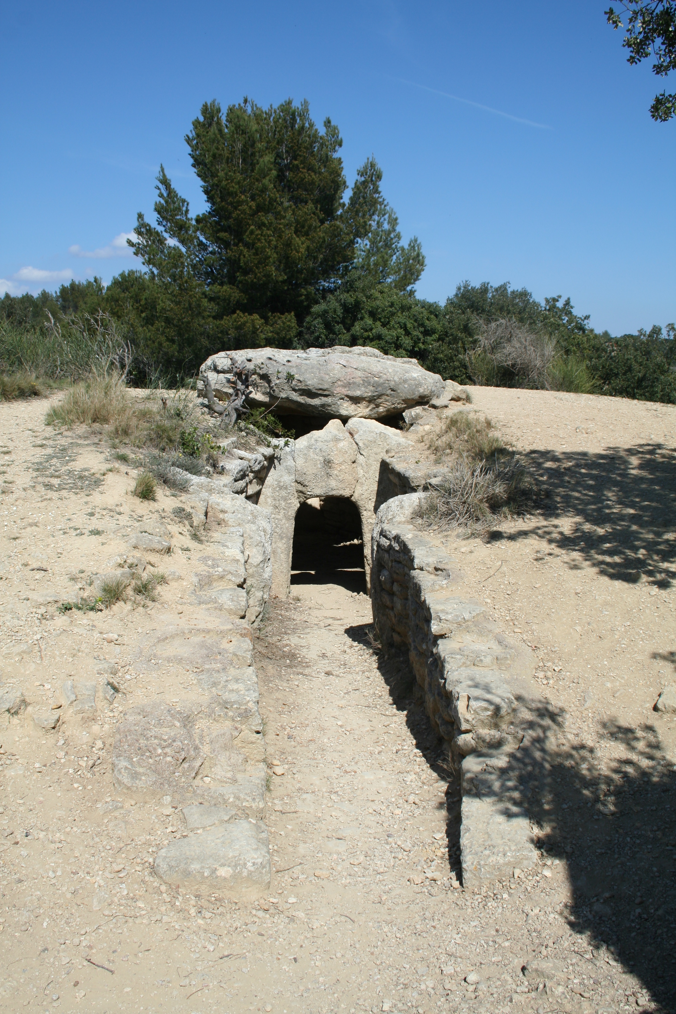 Dolmen de Gallardet
