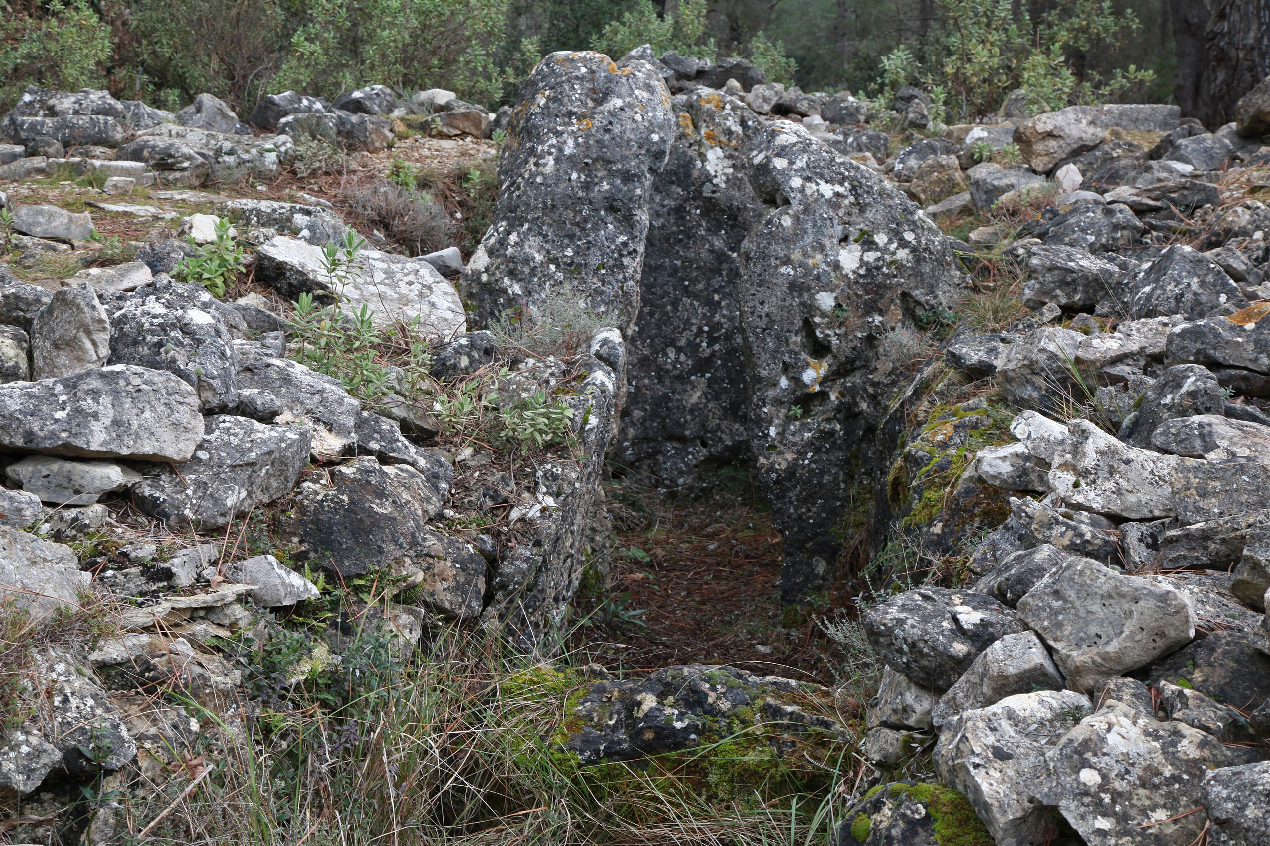 Dolmen de Colbas
