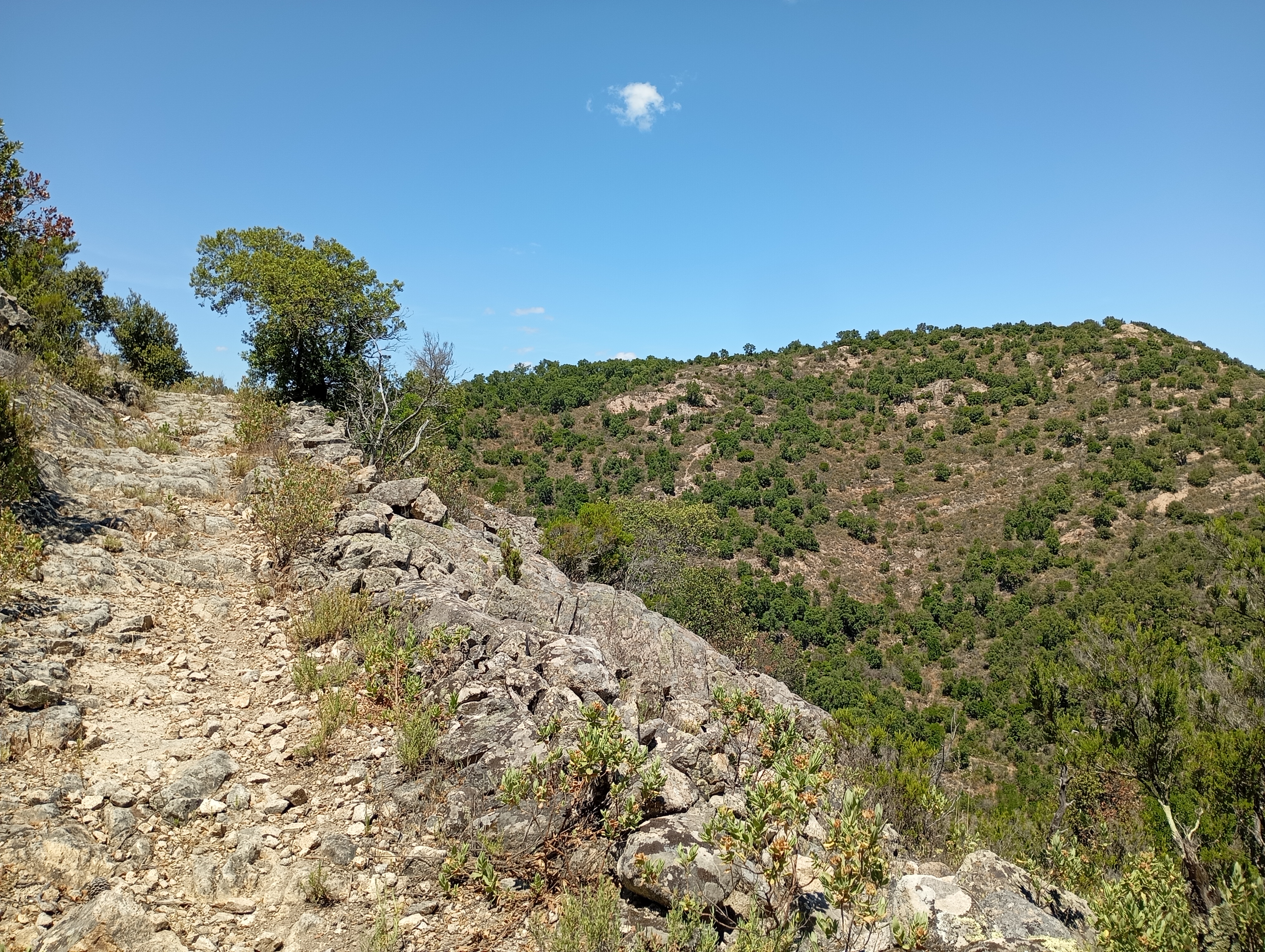 Oppidum de Règue Malade