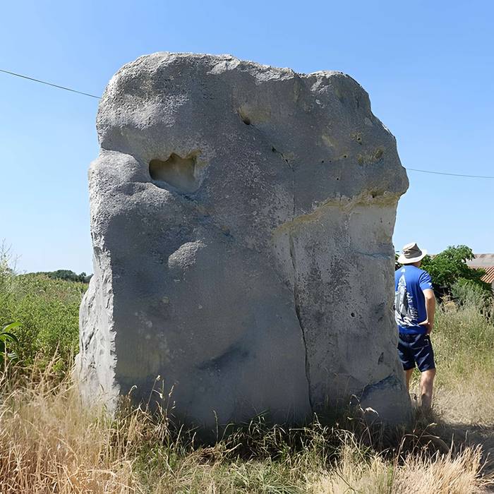 Menhir de Pierrefiche à Duneau (72)